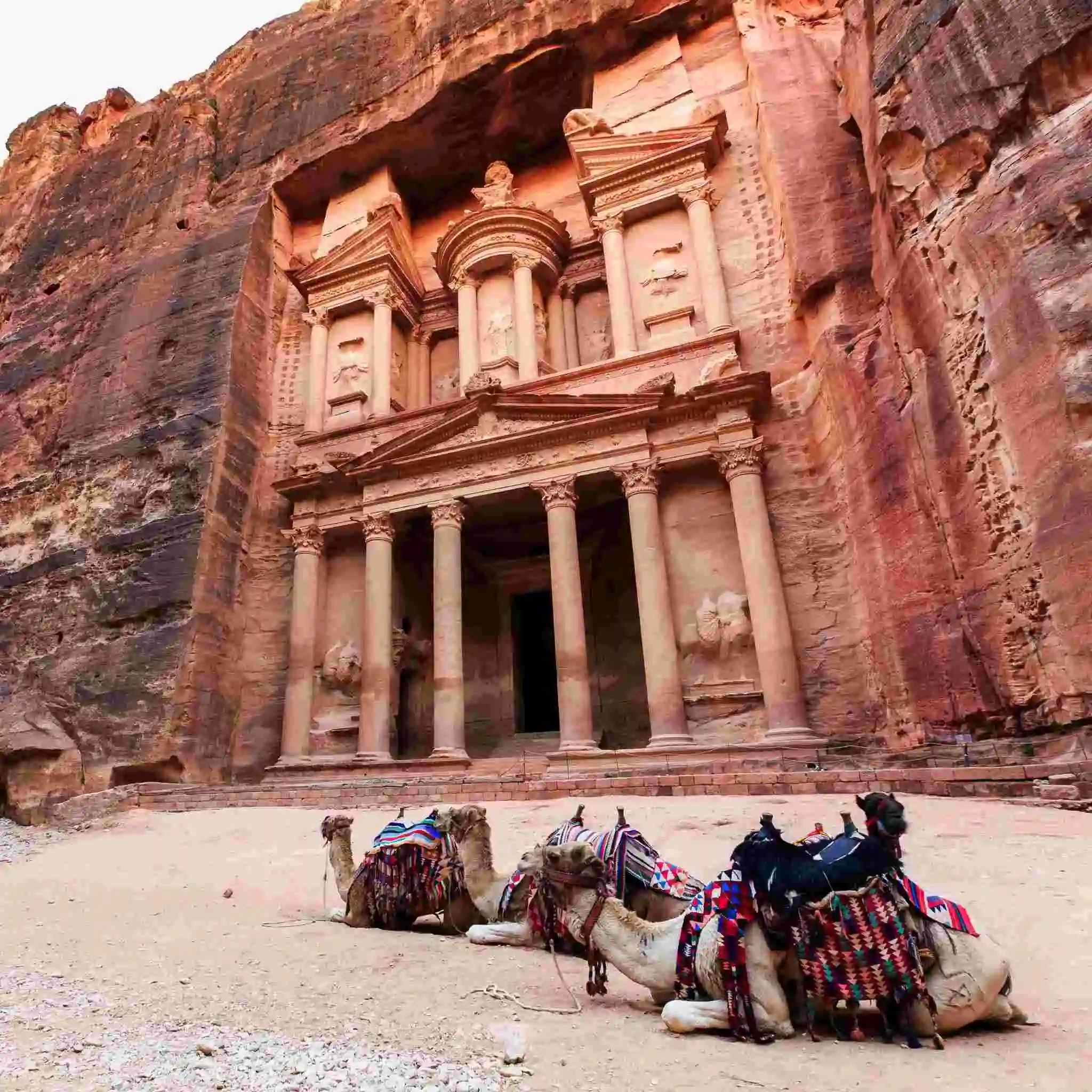 Camels in front of the Treasury at Petra, Jordan