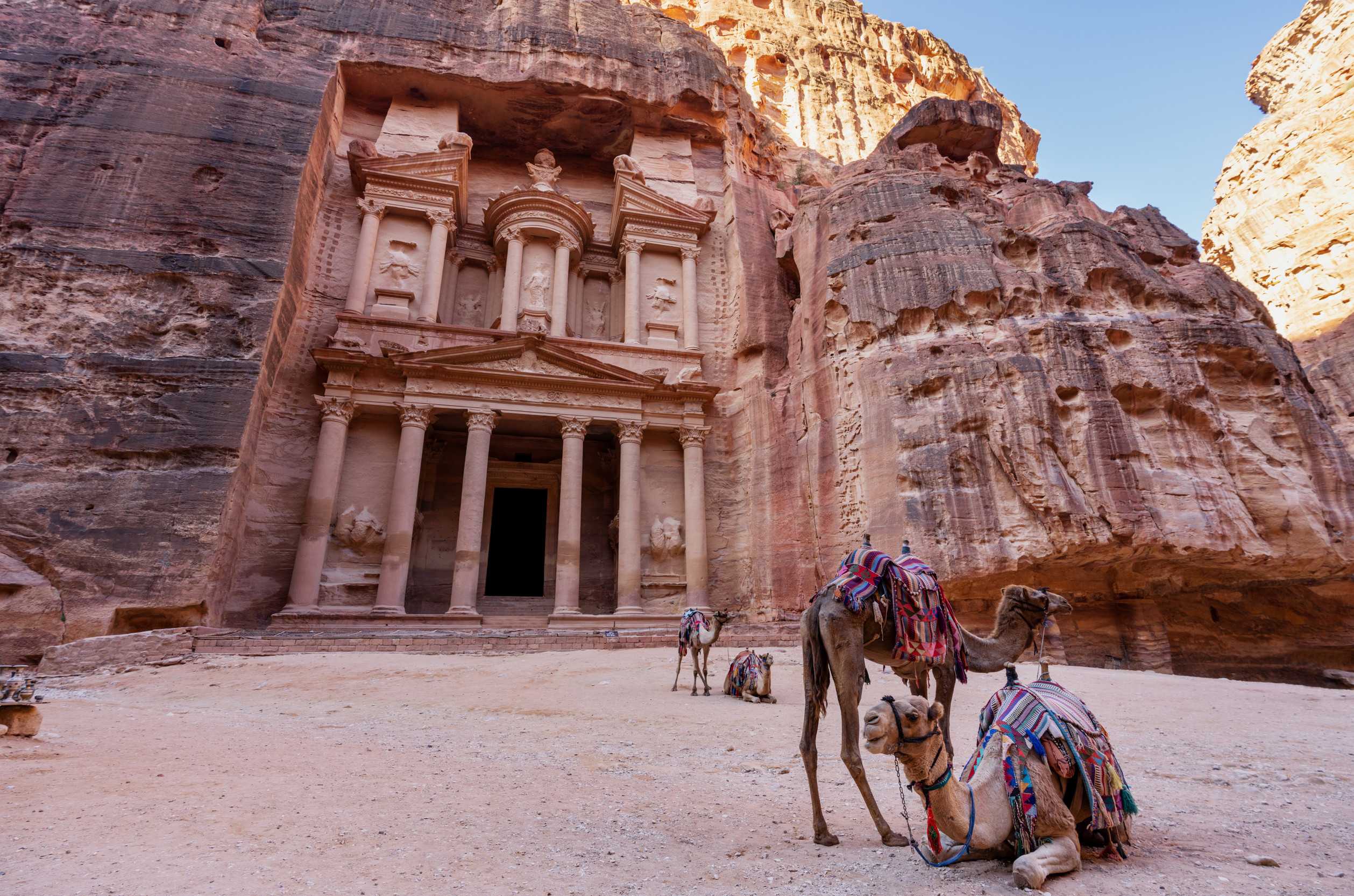 Camels resting before Petra Treasury