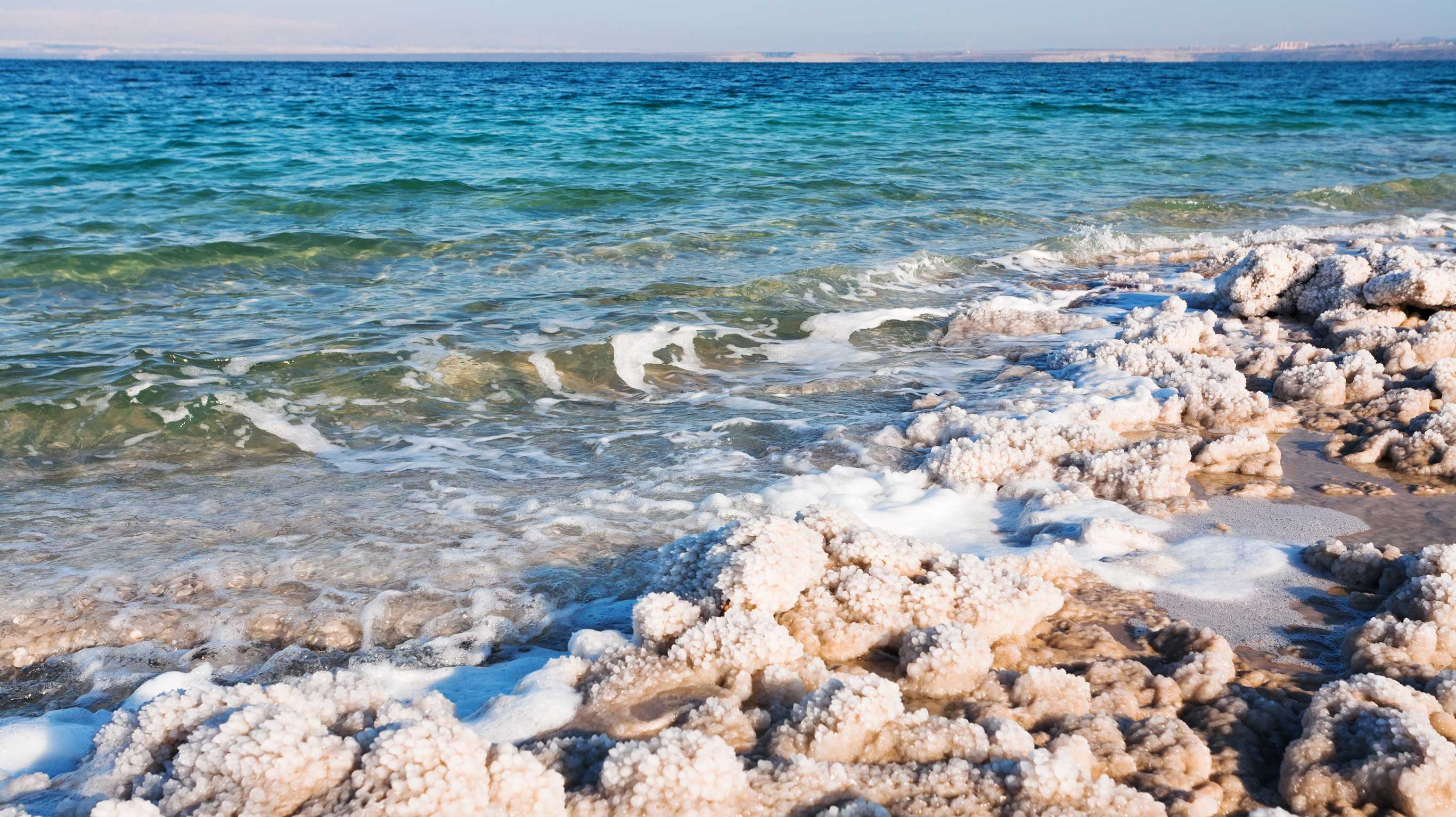 Crystalline Coastline Of Dead Sea Jordan