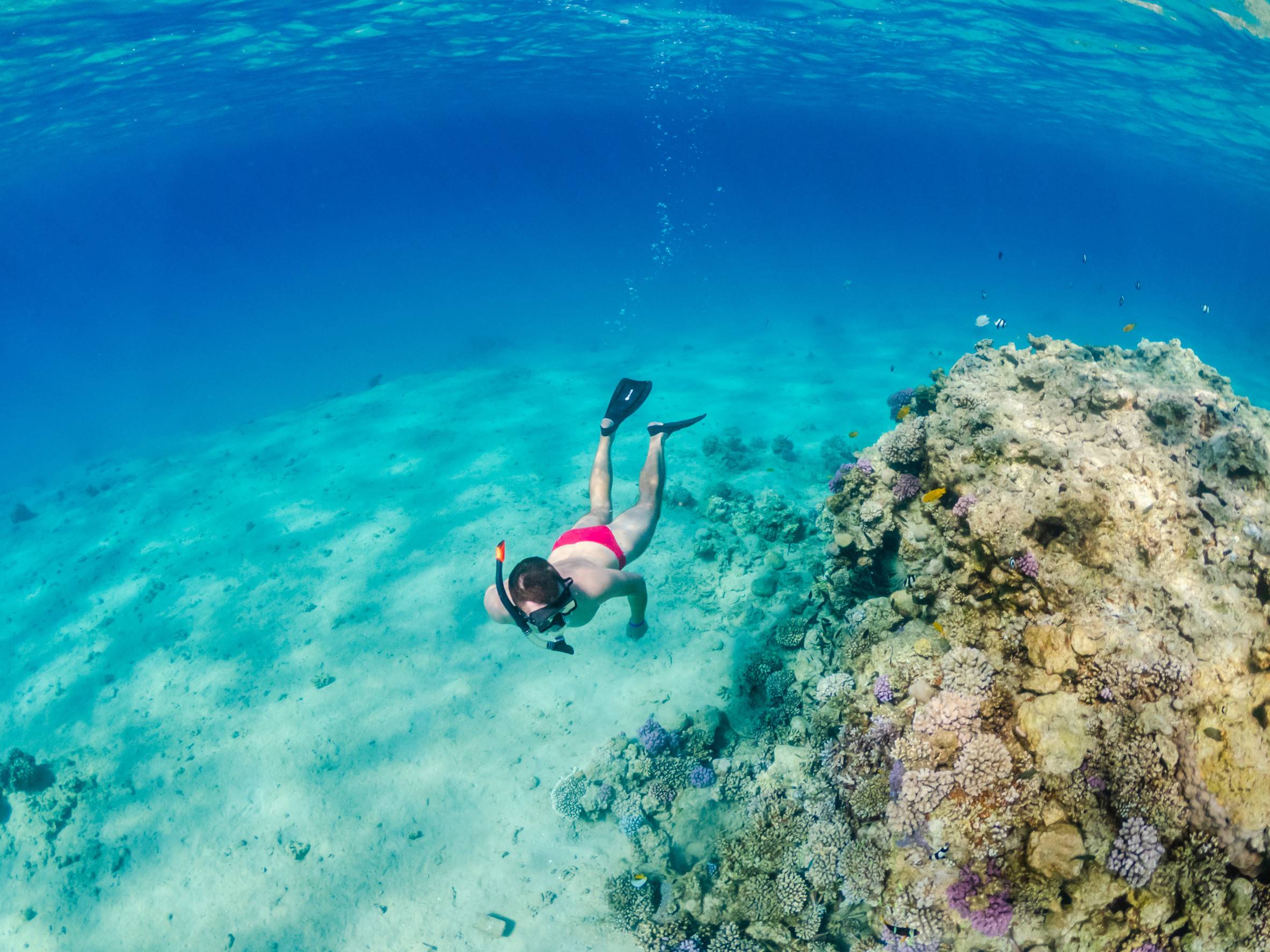 Man snorkelling near coral reef Red Sea