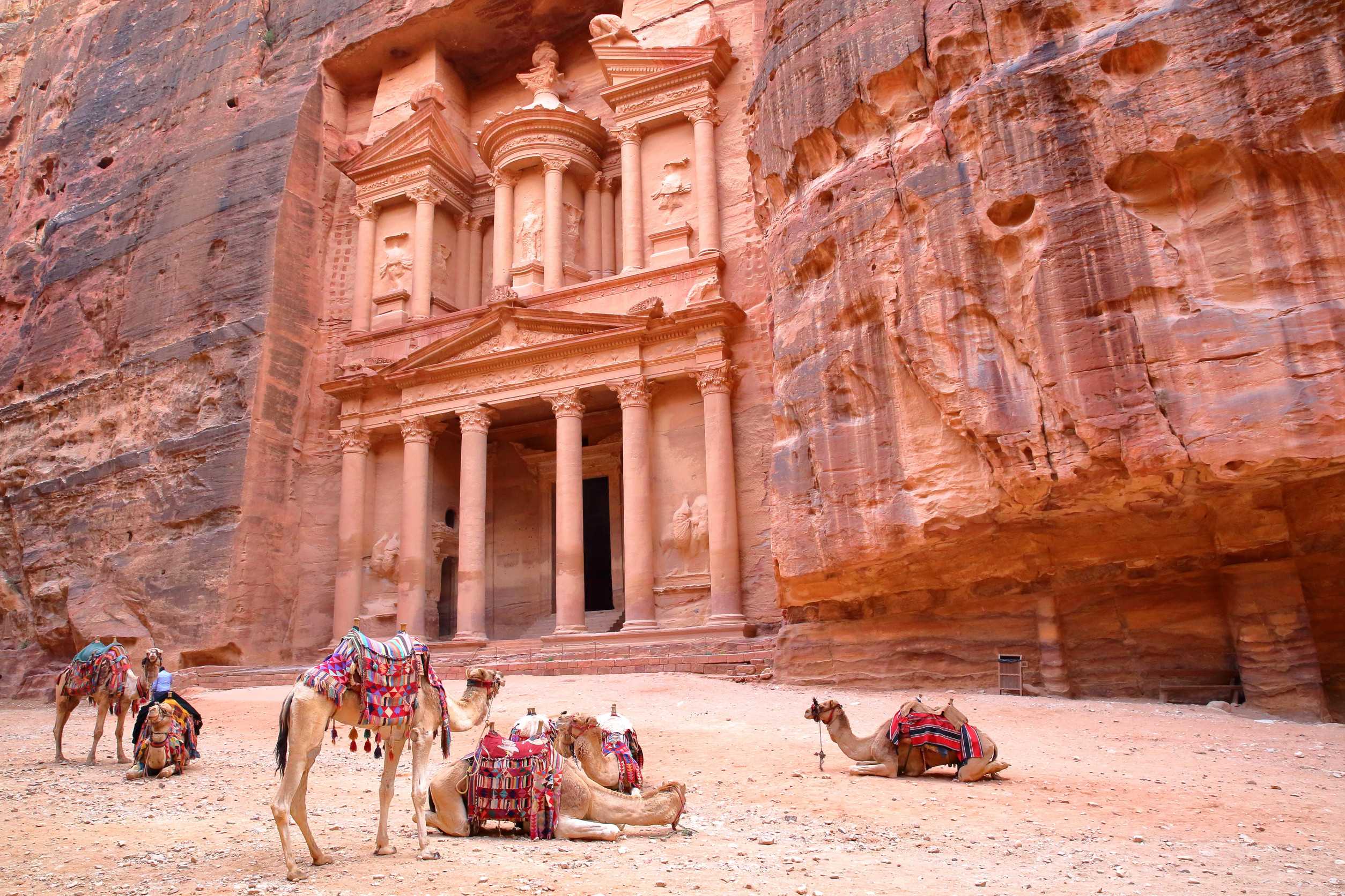 Petra Treasury And Camels In Jordan